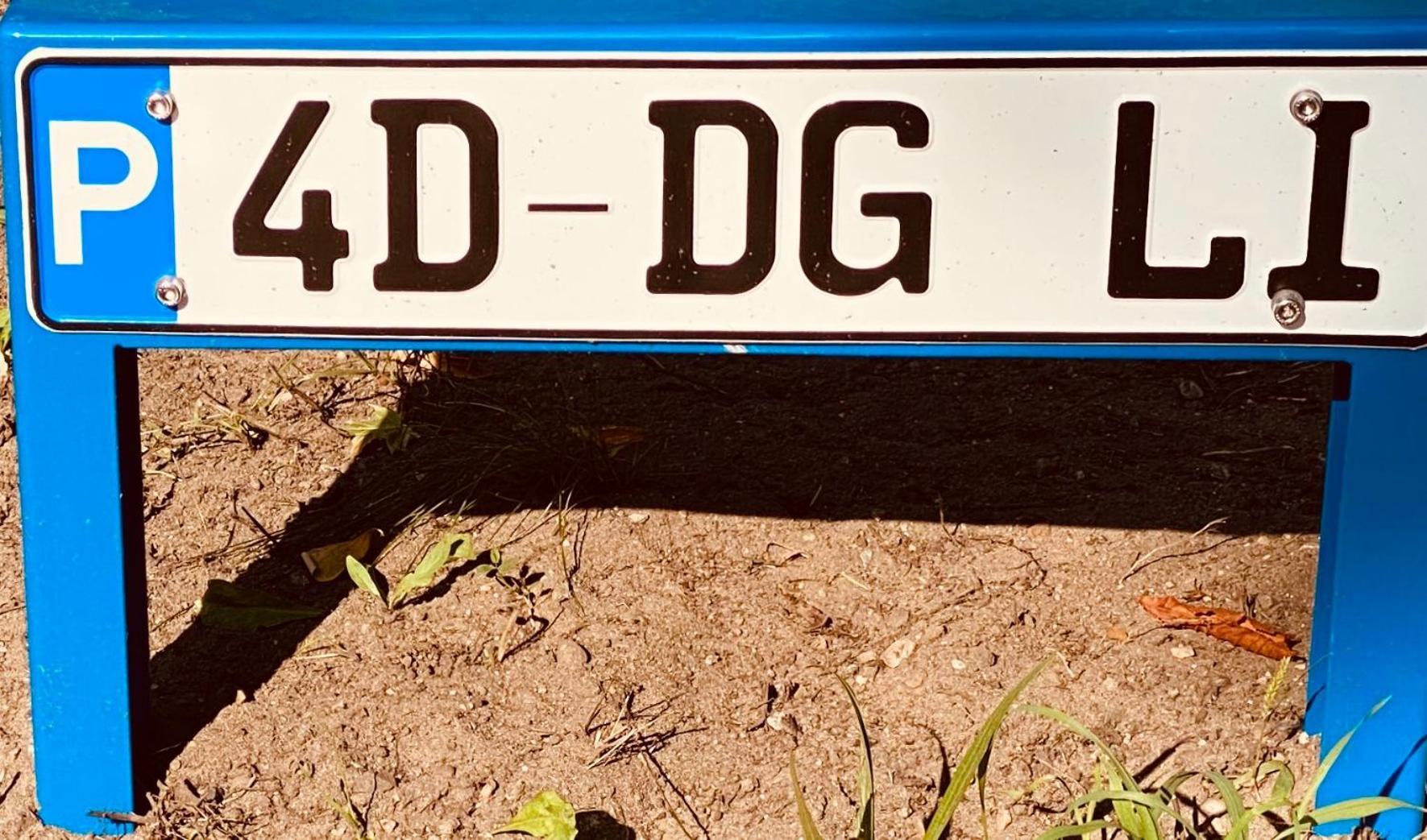 Moderne Im Gruenen