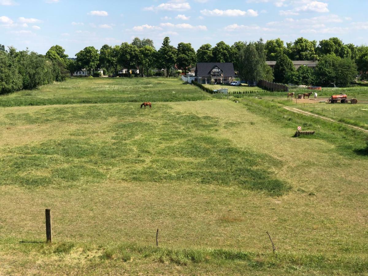 Moderne Im Grünen * Werneuchen